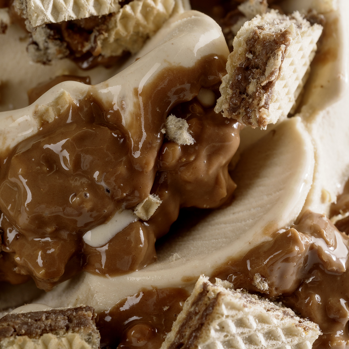 Joygelato - JOYCREAM WAFERNUT CLAIR